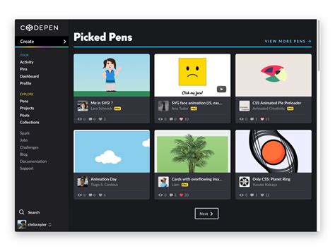 CodePen .